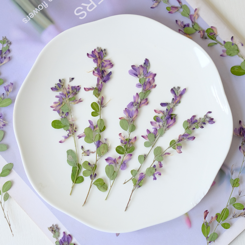 6pcs,nature Lespedeza Formosa  - огляд і ціна Resin Art And Jewelry
