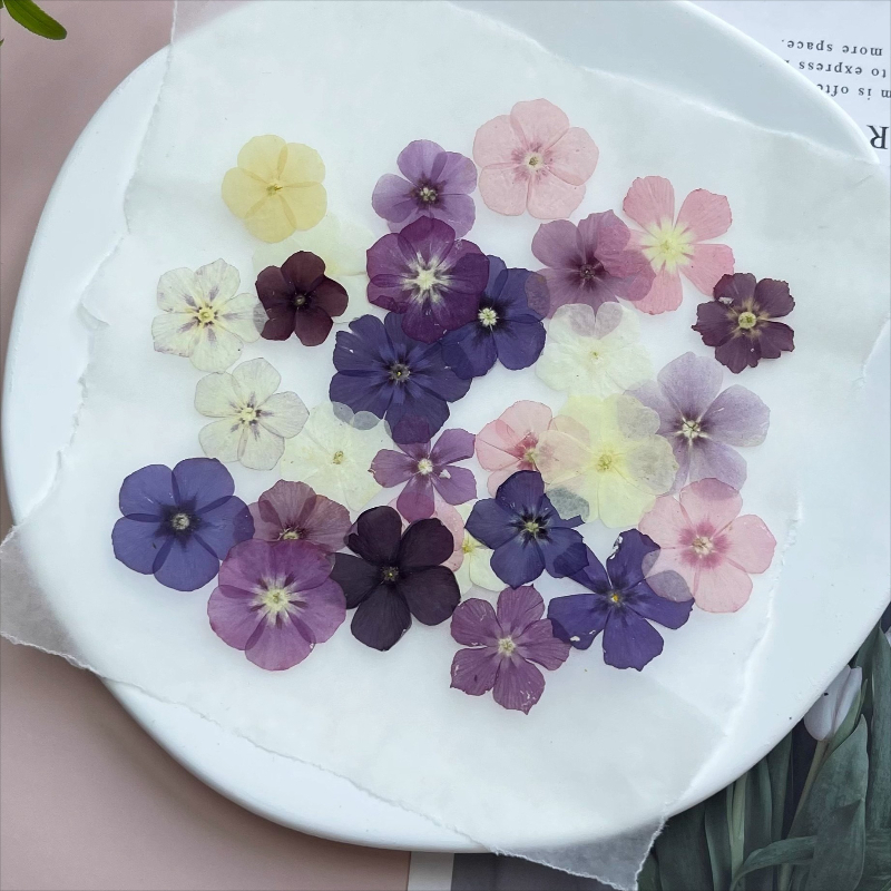 12pcs,Semi-Transparent Niche P - огляд і ціна Resin Art Phone Case