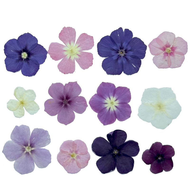 12pcs,Semi-Transparent Niche P - огляд і ціна Resin Art Phone Case